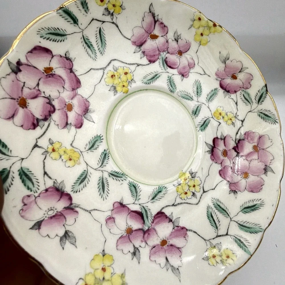 Springdale VTG Foley Bone China Tea Cup & Saucer Set V4600 Pink Yellow Floral Go